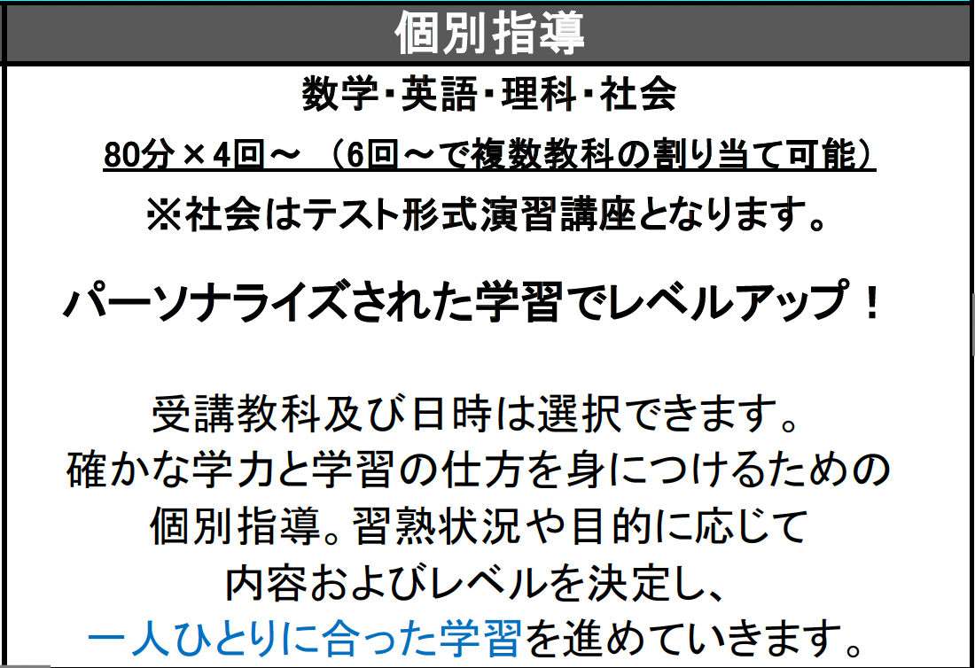 数研ゼミ　夏期講習　個別指導