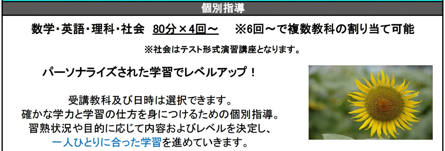 数研ゼミ　夏期講習　個別指導