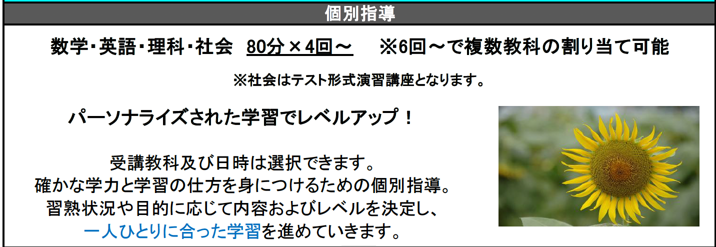 数研ゼミ　夏期講習　個別指導