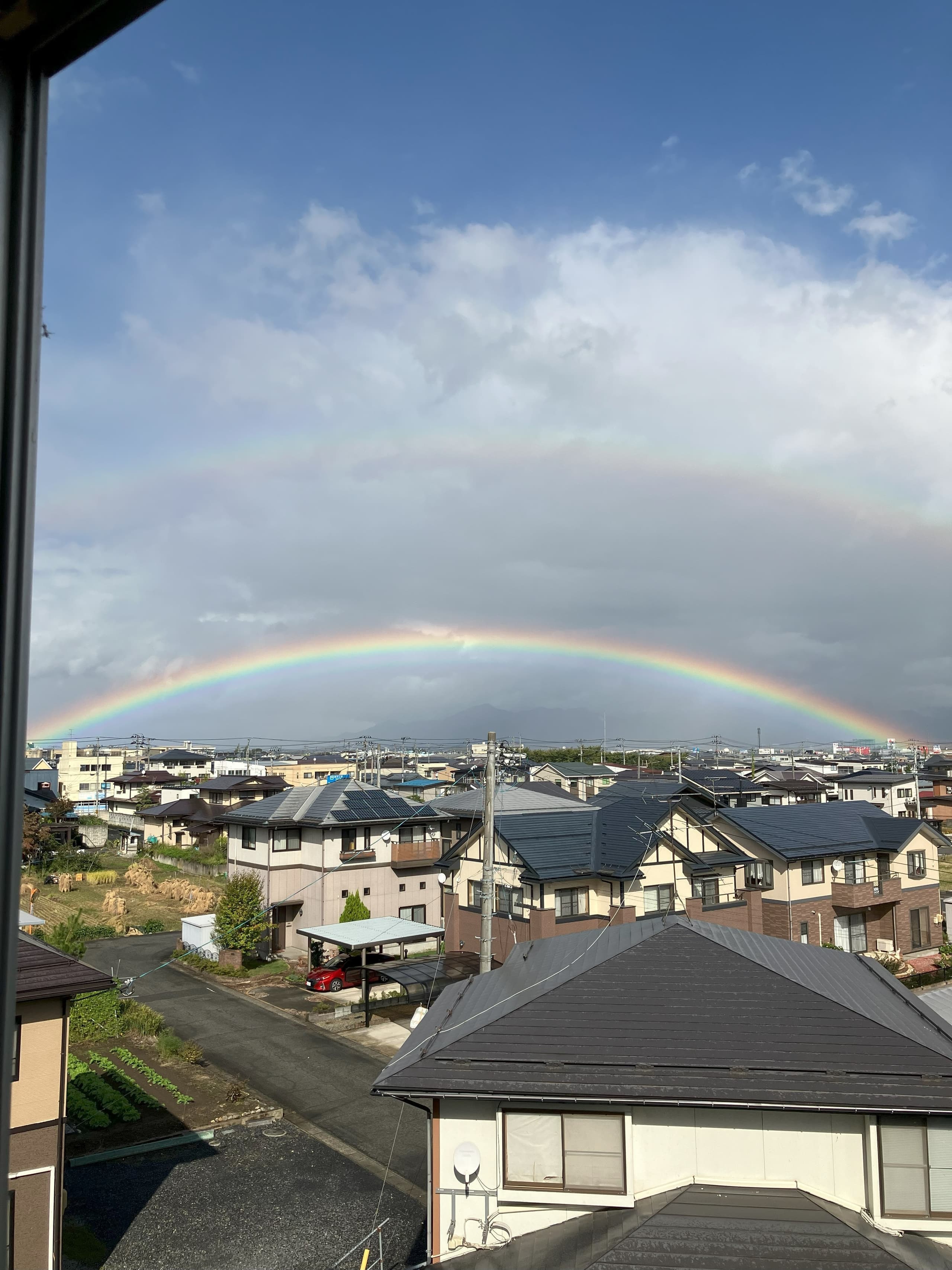 数研ゼミ　これまでの大学合格実績